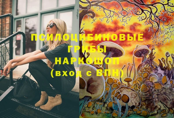 молекула духа Наволоки