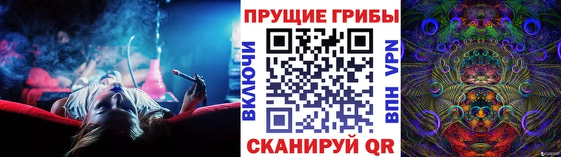 гидра   Городище  Псилоцибиновые грибы Psilocybe 